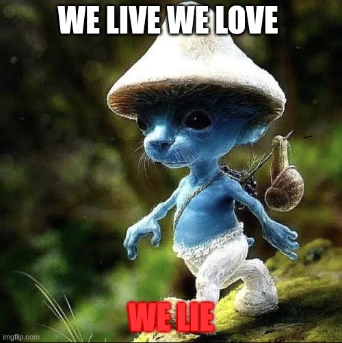 we live we love we lie | WE LIVE WE LOVE; WE LIE | image tagged in smurfs,cat | made w/ Imgflip meme maker