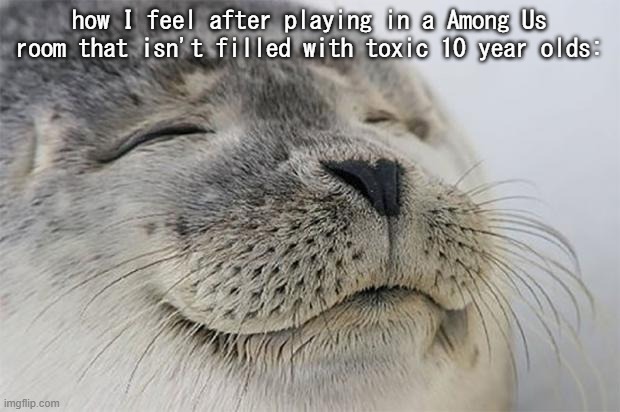 happiness | how I feel after playing in a Among Us room that isn't filled with toxic 10 year olds: | image tagged in memes,satisfied seal | made w/ Imgflip meme maker