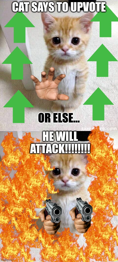 UPVOTESSSSSSS | CAT SAYS TO UPVOTE; OR ELSE... HE WILL ATTACK!!!!!!!! | image tagged in memes,cute cat | made w/ Imgflip meme maker