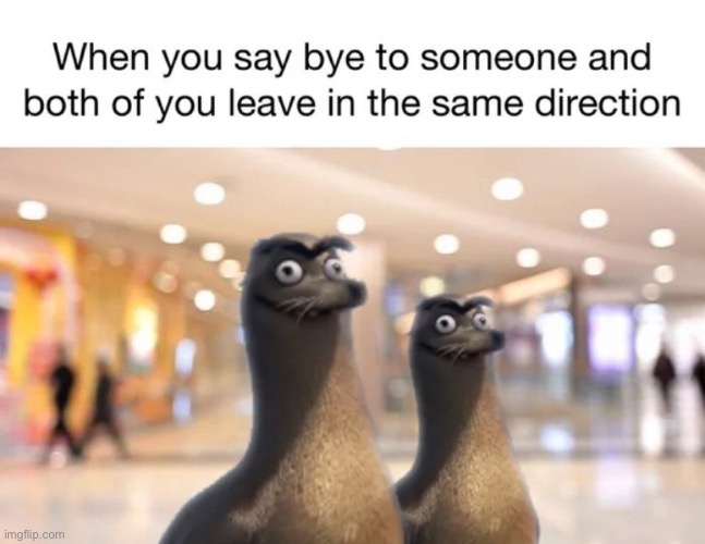always awkward | image tagged in funny,meme,walking away in the same direction | made w/ Imgflip meme maker