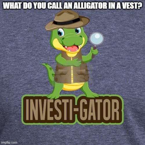 Daily Bad Dad Joke September 14. 2023 | WHAT DO YOU CALL AN ALLIGATOR IN A VEST? | image tagged in alligator | made w/ Imgflip meme maker