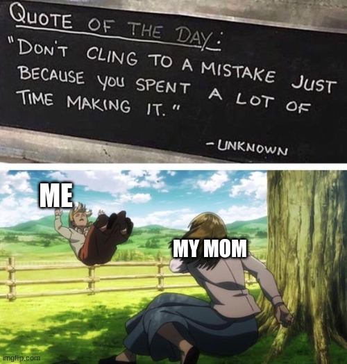 Mistakes | ME; MY MOM | image tagged in mistakes | made w/ Imgflip meme maker