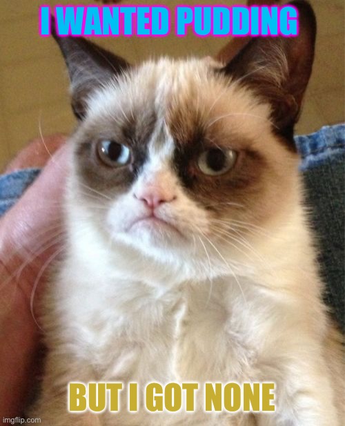 Mardy bum | I WANTED PUDDING; BUT I GOT NONE | image tagged in memes,grumpy cat | made w/ Imgflip meme maker