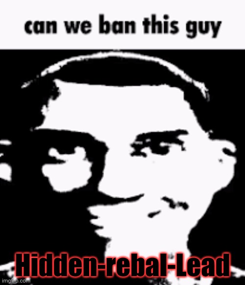 Vote in the comments | Hidden-rebal-Lead | image tagged in can we ban this guy,but why why would you do that | made w/ Imgflip meme maker