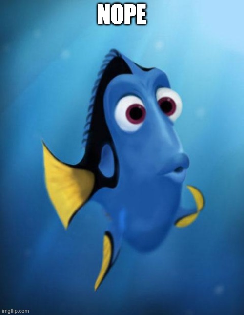 Dory | NOPE | image tagged in dory | made w/ Imgflip meme maker