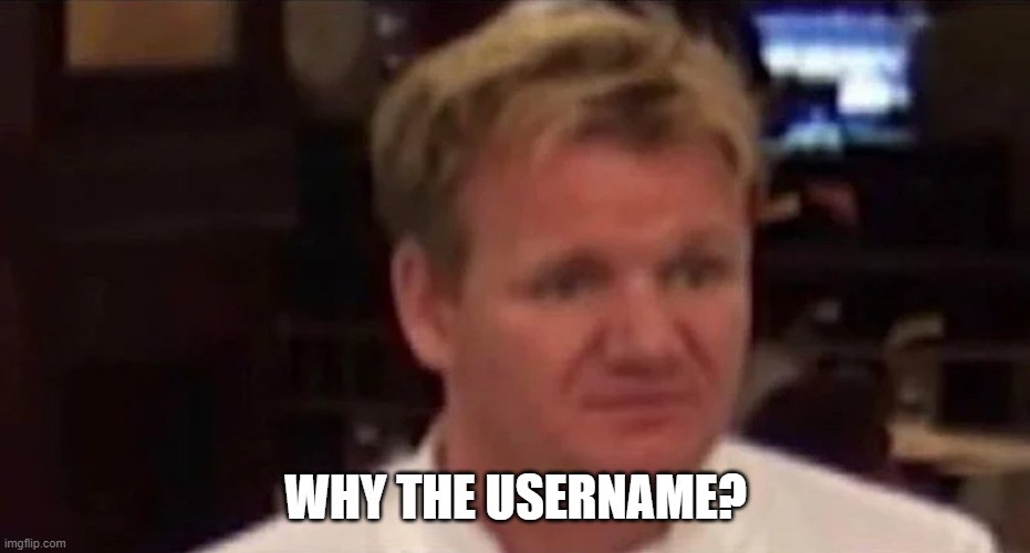 Disgusted Gordon Ramsay | WHY THE USERNAME? | image tagged in disgusted gordon ramsay | made w/ Imgflip meme maker