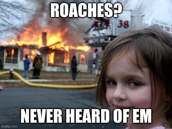 Disaster Girl Meme | ROACHES? NEVER HEARD OF EM | image tagged in memes,disaster girl | made w/ Imgflip meme maker