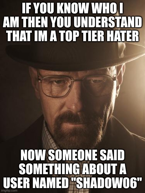 should I pursue him? | IF YOU KNOW WHO I AM THEN YOU UNDERSTAND THAT IM A TOP TIER HATER; NOW SOMEONE SAID SOMETHING ABOUT A USER NAMED "SHADOW06" | image tagged in walter white | made w/ Imgflip meme maker
