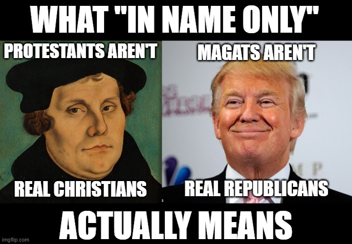 Not a majority, just loud | WHAT "IN NAME ONLY"; PROTESTANTS AREN'T; MAGATS AREN'T; REAL CHRISTIANS; REAL REPUBLICANS; ACTUALLY MEANS | image tagged in fake,christians,republicans,in name only | made w/ Imgflip meme maker