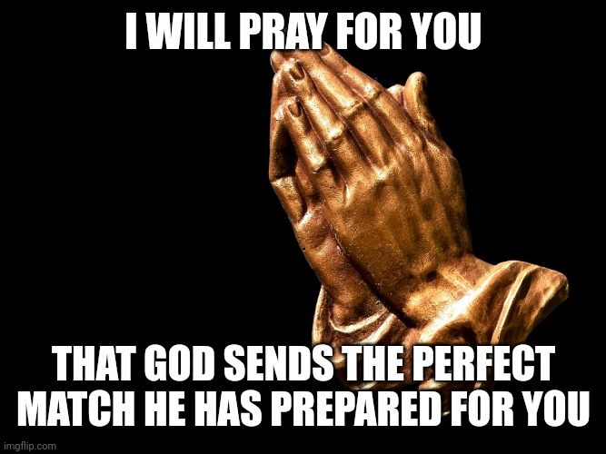 Praying hands | I WILL PRAY FOR YOU THAT GOD SENDS THE PERFECT MATCH HE HAS PREPARED FOR YOU | image tagged in praying hands | made w/ Imgflip meme maker