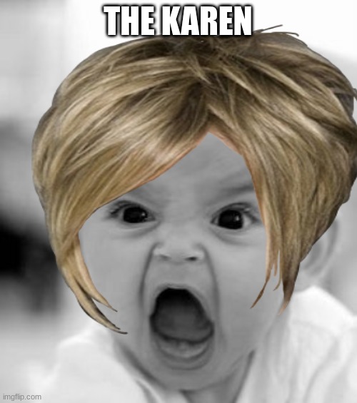 Angry Baby Meme | THE KAREN | image tagged in memes,angry baby | made w/ Imgflip meme maker