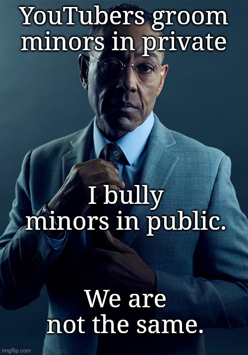 this will not make sense | YouTubers groom minors in private; I bully minors in public. We are not the same. | image tagged in gus fring we are not the same | made w/ Imgflip meme maker