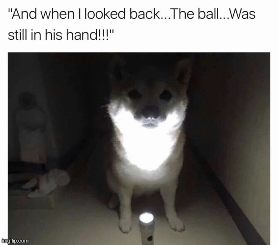 AAAAAAAAAAAAA | made w/ Imgflip meme maker