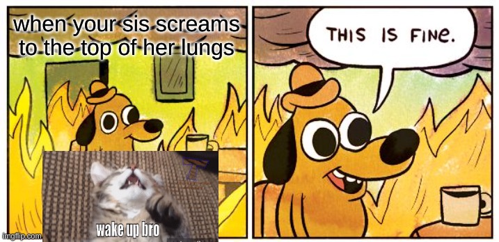 bru | when your sis screams to the top of her lungs | image tagged in memes,this is fine | made w/ Imgflip meme maker