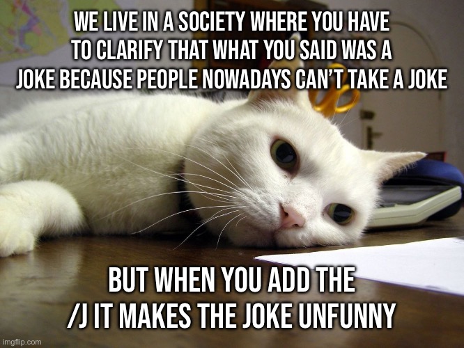 it doesn’t even make sense considering this is a meme website /j | WE LIVE IN A SOCIETY WHERE YOU HAVE TO CLARIFY THAT WHAT YOU SAID WAS A JOKE BECAUSE PEOPLE NOWADAYS CAN’T TAKE A JOKE; BUT WHEN YOU ADD THE /J IT MAKES THE JOKE UNFUNNY | image tagged in annoyed tired bored cat | made w/ Imgflip meme maker