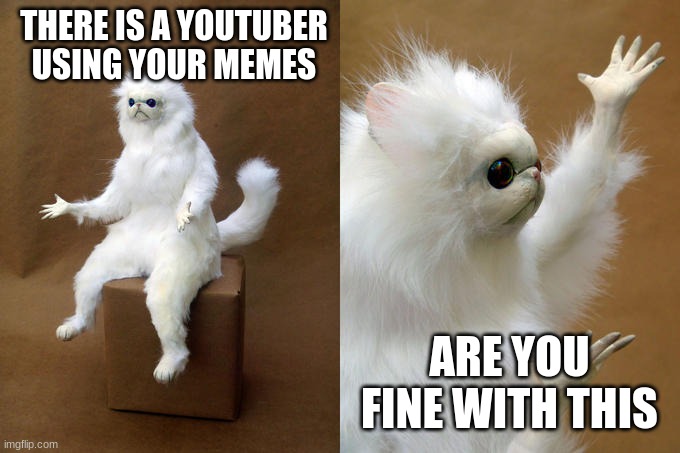 youtube.com/@dumbas this is the guy | THERE IS A YOUTUBER USING YOUR MEMES; ARE YOU FINE WITH THIS | image tagged in memes,persian cat room guardian | made w/ Imgflip meme maker