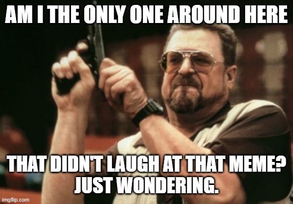 Am I The Only One Around Here Meme | AM I THE ONLY ONE AROUND HERE THAT DIDN'T LAUGH AT THAT MEME?
JUST WONDERING. | image tagged in memes,am i the only one around here | made w/ Imgflip meme maker
