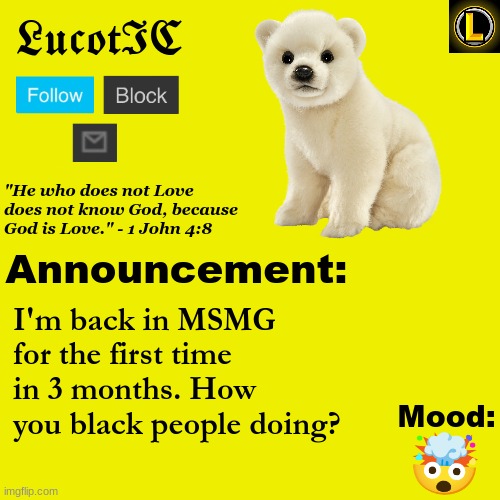 . | I'm back in MSMG for the first time in 3 months. How you black people doing? 🤯 | image tagged in lucotic polar bear announcement temp v3 | made w/ Imgflip meme maker