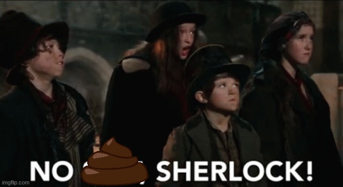 No shit sherlock | image tagged in no shit sherlock | made w/ Imgflip meme maker
