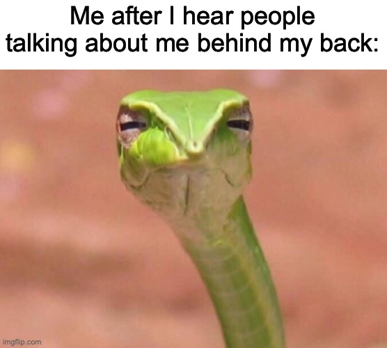 Its a serious problem at school | Me after I hear people talking about me behind my back: | image tagged in skeptical snake | made w/ Imgflip meme maker