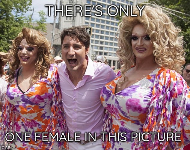 Guess | THERE'S ONLY; ONE FEMALE IN THIS PICTURE | image tagged in justin trudeau | made w/ Imgflip meme maker