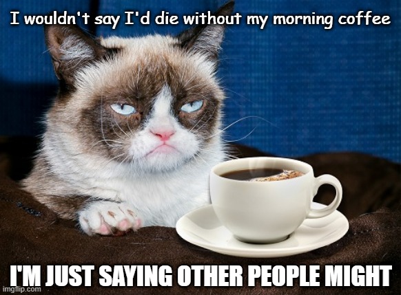 Grumpy cat die without coffee | I wouldn't say I'd die without my morning coffee; I'M JUST SAYING OTHER PEOPLE MIGHT | image tagged in grumpy cat coffee | made w/ Imgflip meme maker