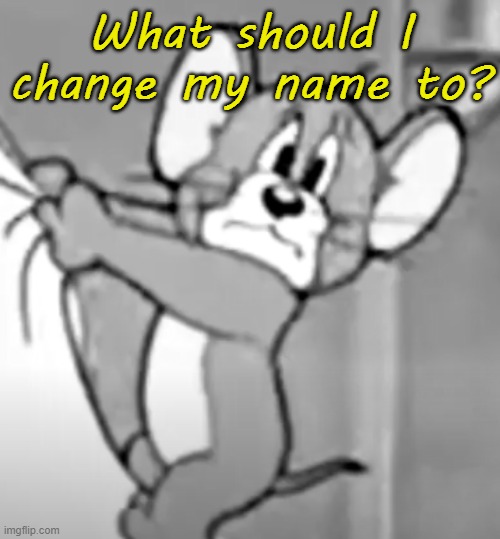 awww the skrunkly | What should I change my name to? | image tagged in awww the skrunkly | made w/ Imgflip meme maker