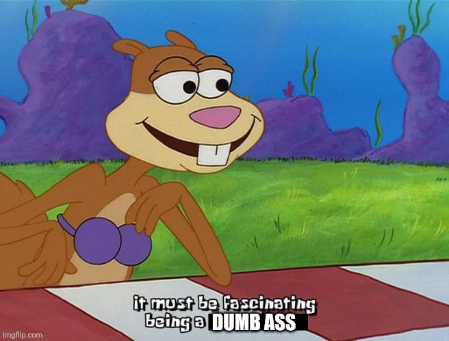 Sandy cheeks | DUMB ASS | image tagged in dumb | made w/ Imgflip meme maker