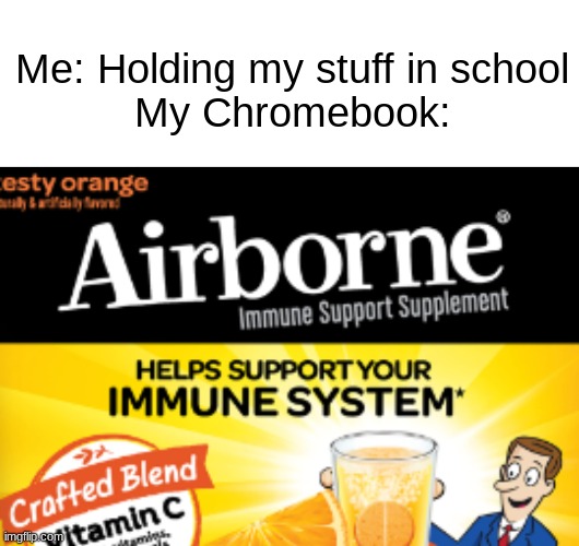 Hate when this happens | Me: Holding my stuff in school
My Chromebook: | image tagged in memes,school,products,funny memes,dank memes,fun | made w/ Imgflip meme maker
