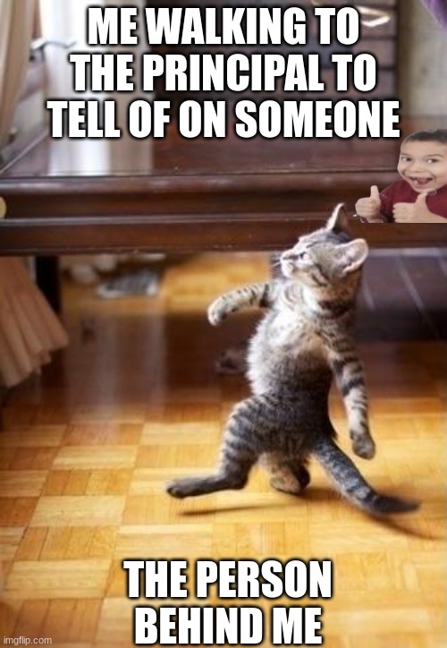 cats | ME WALKING TO THE PRINCIPAL TO TELL OF ON SOMEONE; THE PERSON BEHIND ME | image tagged in memes,cool cat stroll | made w/ Imgflip meme maker