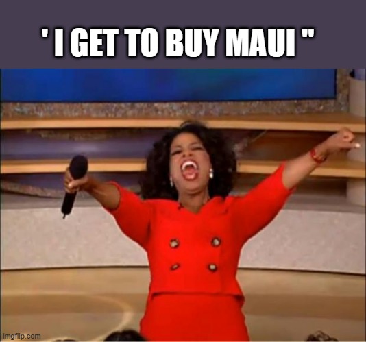 DEW you see it now? | ' I GET TO BUY MAUI " | image tagged in democrats,nwo,terrorists | made w/ Imgflip meme maker