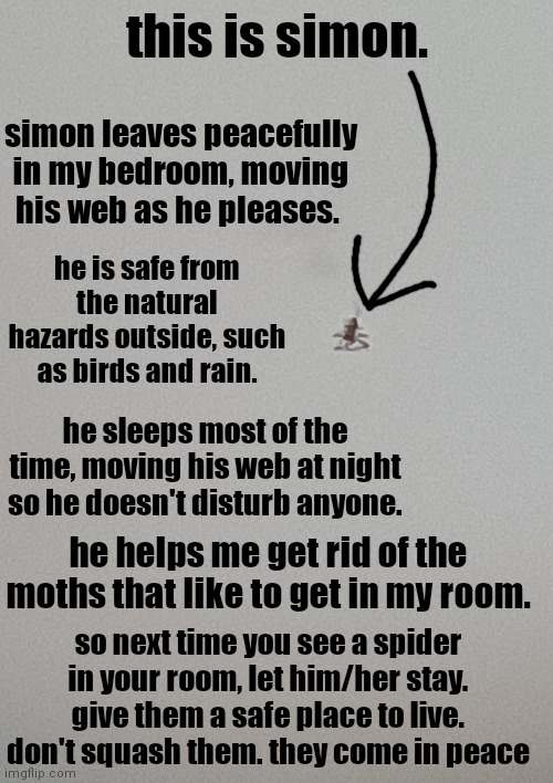 wholesome story about my spider friend ig | this is simon. simon leaves peacefully in my bedroom, moving his web as he pleases. he is safe from the natural hazards outside, such as birds and rain. he sleeps most of the time, moving his web at night so he doesn't disturb anyone. he helps me get rid of the moths that like to get in my room. so next time you see a spider in your room, let him/her stay. give them a safe place to live. don't squash them. they come in peace | image tagged in wholesome | made w/ Imgflip meme maker
