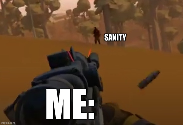 XD This is silly but true | ME:; SANITY | image tagged in video games | made w/ Imgflip meme maker