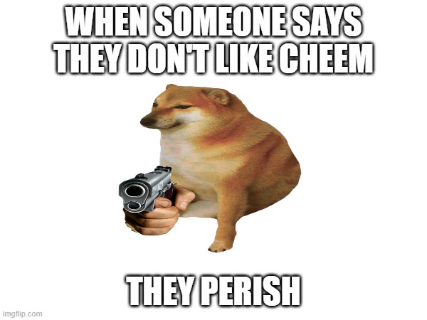 You better not diss cheems | WHEN SOMEONE SAYS THEY DON'T LIKE CHEEM; THEY PERISH | image tagged in cheems | made w/ Imgflip meme maker