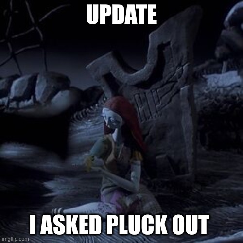 UPDATE; I ASKED PLUCK OUT | image tagged in idk | made w/ Imgflip meme maker