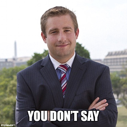 Seth rich | YOU DON’T SAY | image tagged in seth rich | made w/ Imgflip meme maker