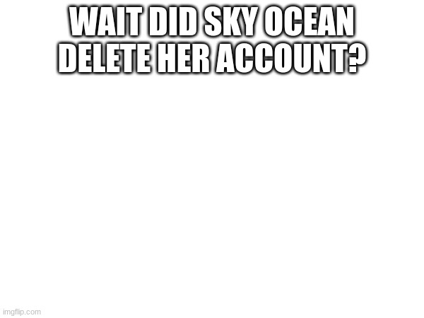 i saw some images saying she deleted her acc | WAIT DID SKY OCEAN DELETE HER ACCOUNT? | image tagged in oh wow are you actually reading these tags | made w/ Imgflip meme maker