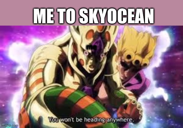 you wont be heading anywhere | me ME TO SKYOCEAN | image tagged in you wont be heading anywhere | made w/ Imgflip meme maker