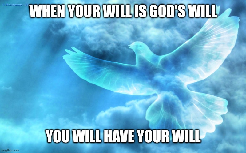 God's Peace | WHEN YOUR WILL IS GOD'S WILL; YOU WILL HAVE YOUR WILL | image tagged in god's peace | made w/ Imgflip meme maker