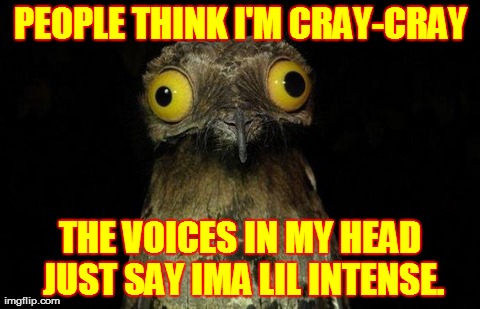 Weird Stuff I Do Potoo Meme | PEOPLE THINK I'M CRAY-CRAY THE VOICES IN MY HEAD JUST SAY IMA LIL INTENSE. | image tagged in memes,weird stuff i do potoo | made w/ Imgflip meme maker