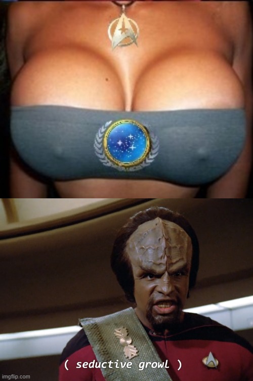 To Boldly Go... | image tagged in star trek boobs,worf | made w/ Imgflip meme maker
