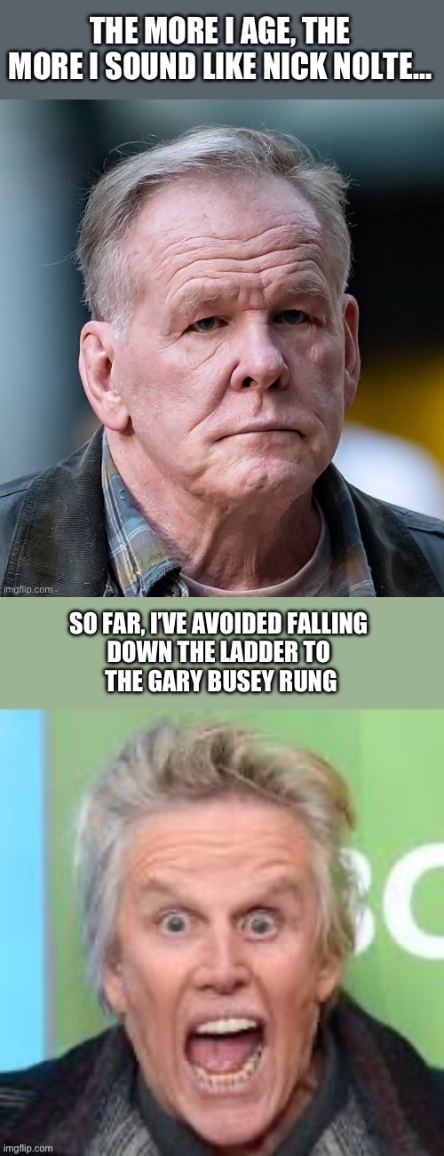 Aging | image tagged in aging,nick nolte,gary busey | made w/ Imgflip meme maker