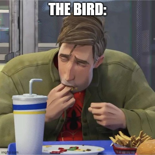 Peter B. Parker eating fingers | THE BIRD: | image tagged in peter b parker eating fingers | made w/ Imgflip meme maker