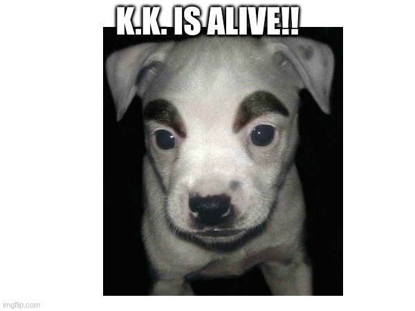 k.k. | K.K. IS ALIVE!! | image tagged in memes | made w/ Imgflip meme maker