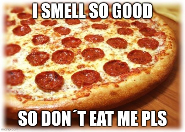 Coming out pizza  | I SMELL SO GOOD; SO DON´T EAT ME PLS | image tagged in coming out pizza,funny memes | made w/ Imgflip meme maker