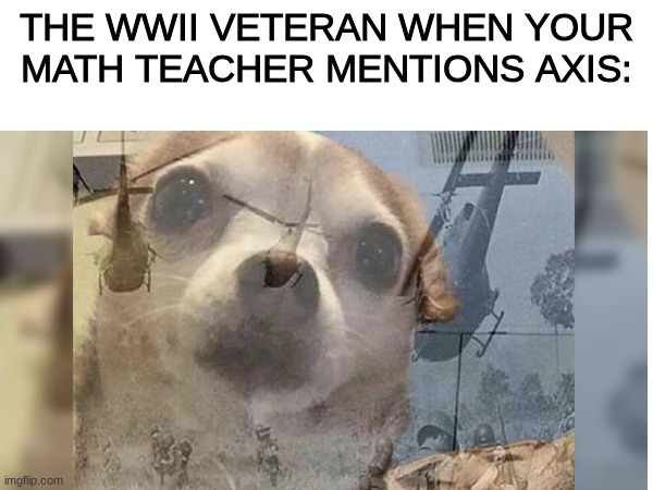wwii meme | THE WWII VETERAN WHEN YOUR MATH TEACHER MENTIONS AXIS: | image tagged in wwii,math,funny,veterans,army,yes | made w/ Imgflip meme maker