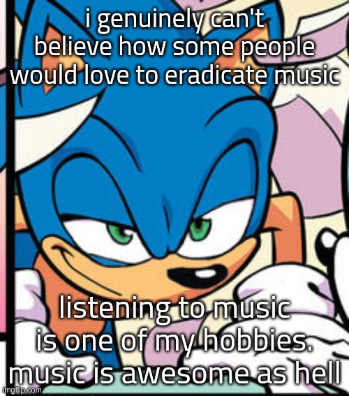 sonic smug | i genuinely can't believe how some people would love to eradicate music; listening to music is one of my hobbies. music is awesome as hell | image tagged in sonic smug | made w/ Imgflip meme maker