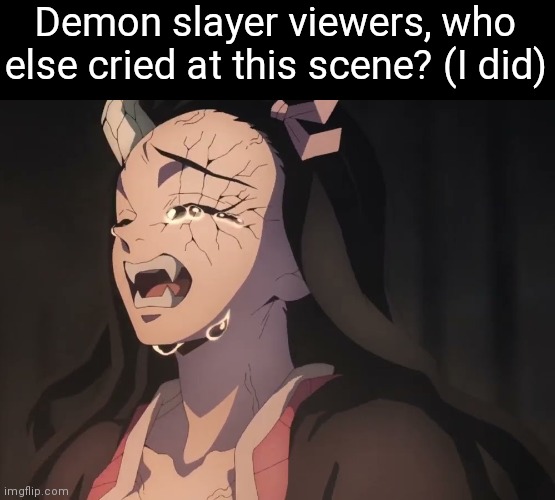 When Nezuko remembers her mother | Demon slayer viewers, who else cried at this scene? (I did) | image tagged in demon slayer,nezuko,sad scene | made w/ Imgflip meme maker