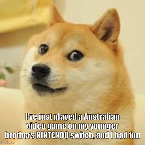 I think the game was called TY THE TASMANIAN TIGER | I’ve just played a Australian video game on my younger brothers NINTENDO switch, and I had fun | image tagged in square doge,rest in peace,cheems | made w/ Imgflip meme maker