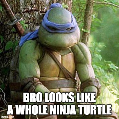 Sad Ninja Turtle | BRO LOOKS LIKE A WHOLE NINJA TURTLE | image tagged in sad ninja turtle | made w/ Imgflip meme maker